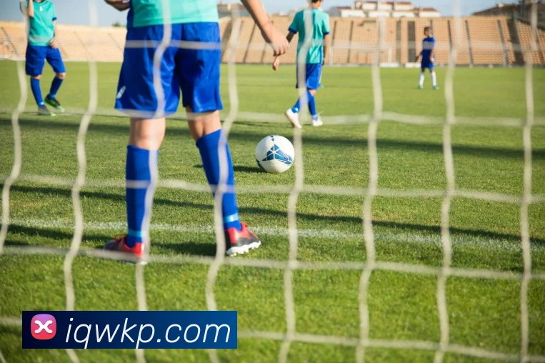 买球赛服务体系