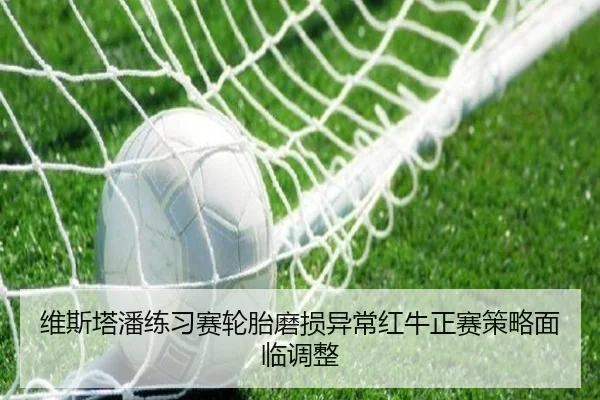 维斯塔潘练习赛轮胎磨损异常红牛正赛策略面临调整