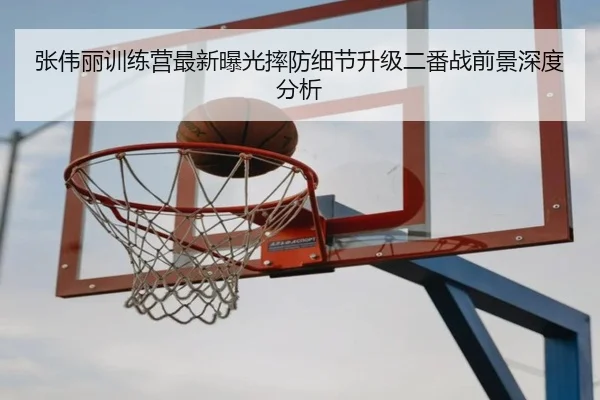 张伟丽训练营最新曝光摔防细节升级二番战前景深度分析
